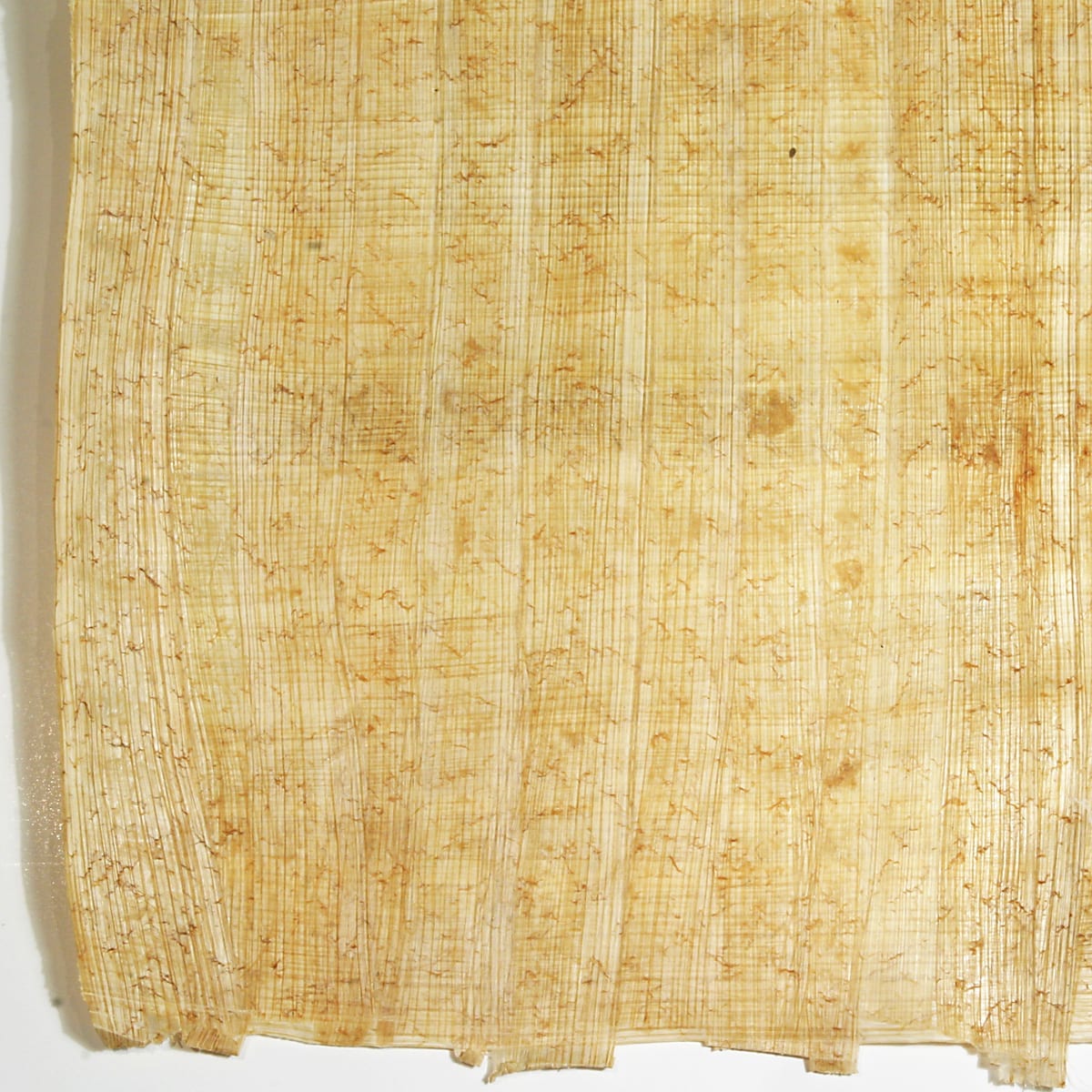 papyrus paper